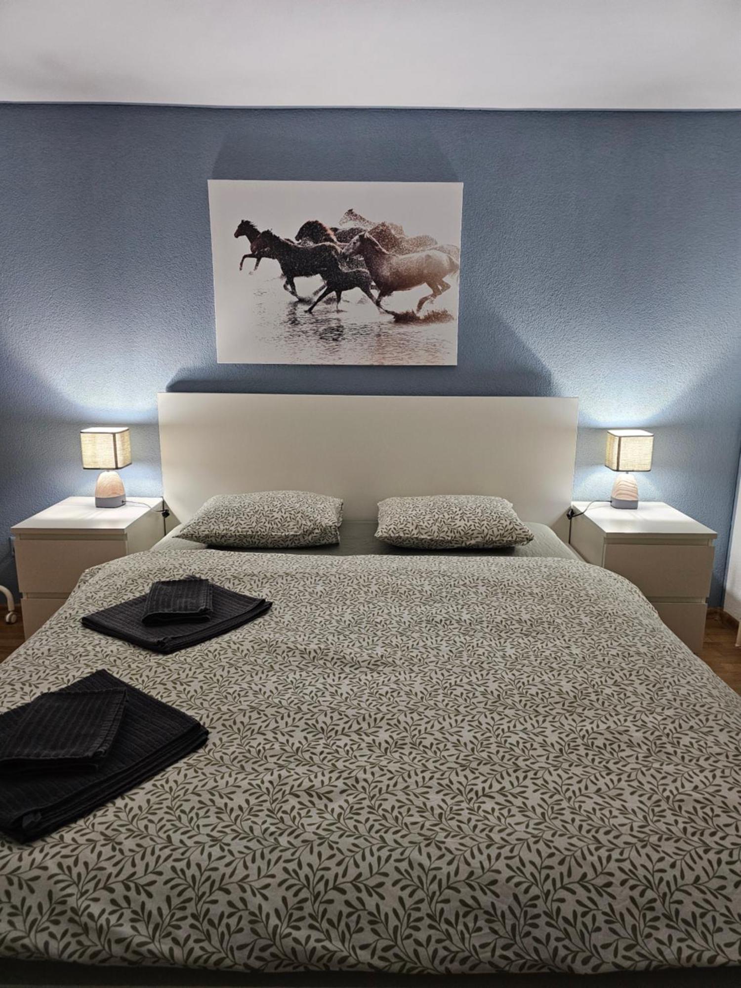 Sleep Here Apartment Göschenen